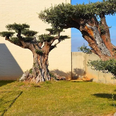 280 Zaragoza 호텔 칼라토라오