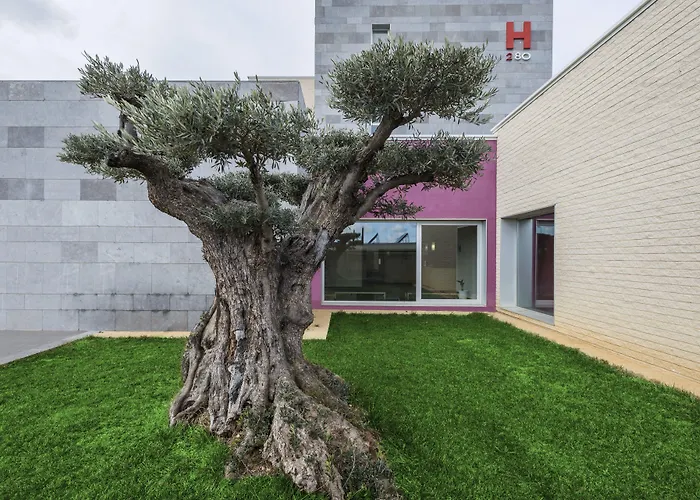 280 Zaragoza Calatorao