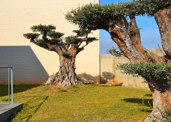 280 Zaragoza Hotel Calatorao